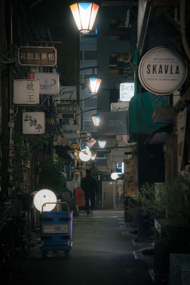 Shinjuku Alley