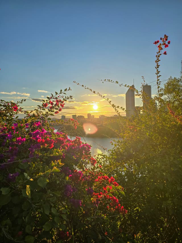 Brisbane Sunset